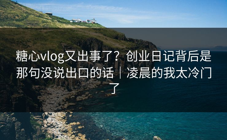 糖心vlog又出事了？创业日记背后是那句没说出口的话｜凌晨的我太冷门了